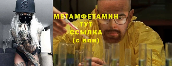 ALPHA PVP Няндома