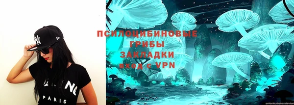 сатива Нягань