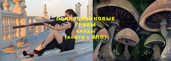 сатива Нягань