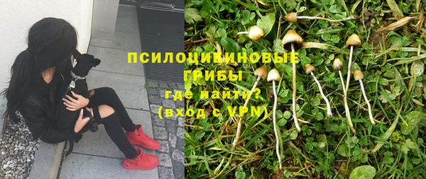 синтетический гашиш Нязепетровск