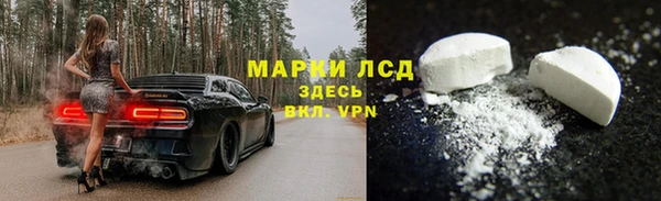 сатива Нягань