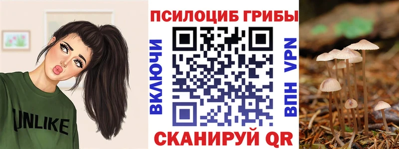Псилоцибиновые грибы Psilocybine cubensis  OMG как войти  Благовещенск 